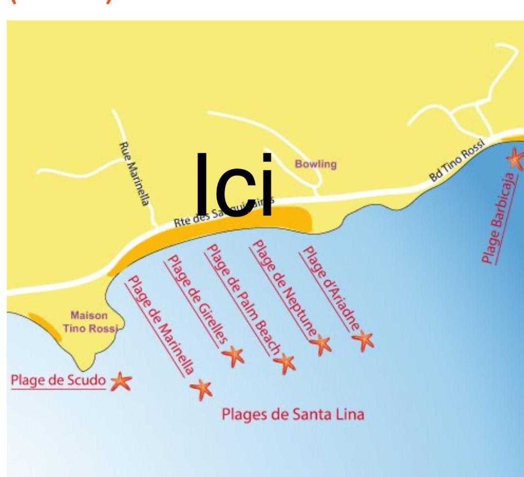 Superbe Pieds Dans L Eau Ajaccio Face A La Mer Plage De Sable Fin Route Des Iles Des Sanguinaires 외부 사진